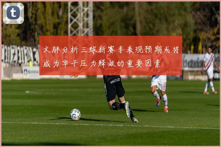文胖分析三球新赛季表现预期或将成为华子压力释放的重要因素